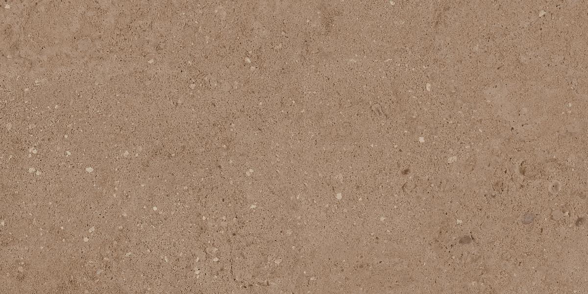NP03 Newport Moka 306x609 неполированный коричневый