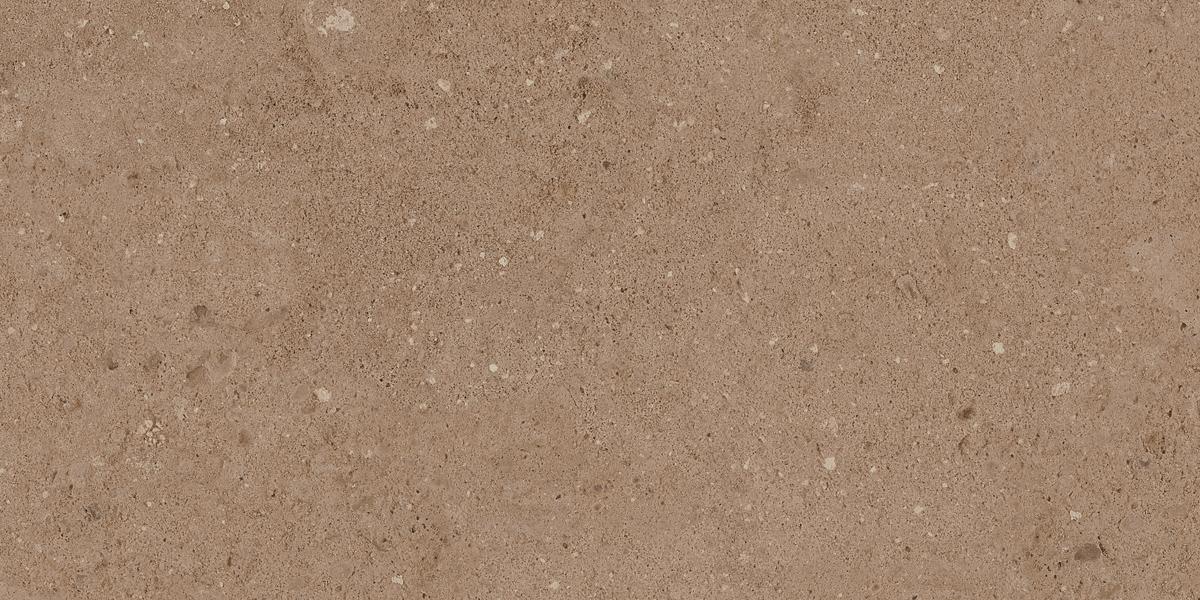 NP03 Newport Moka 306x609 неполированный коричневый