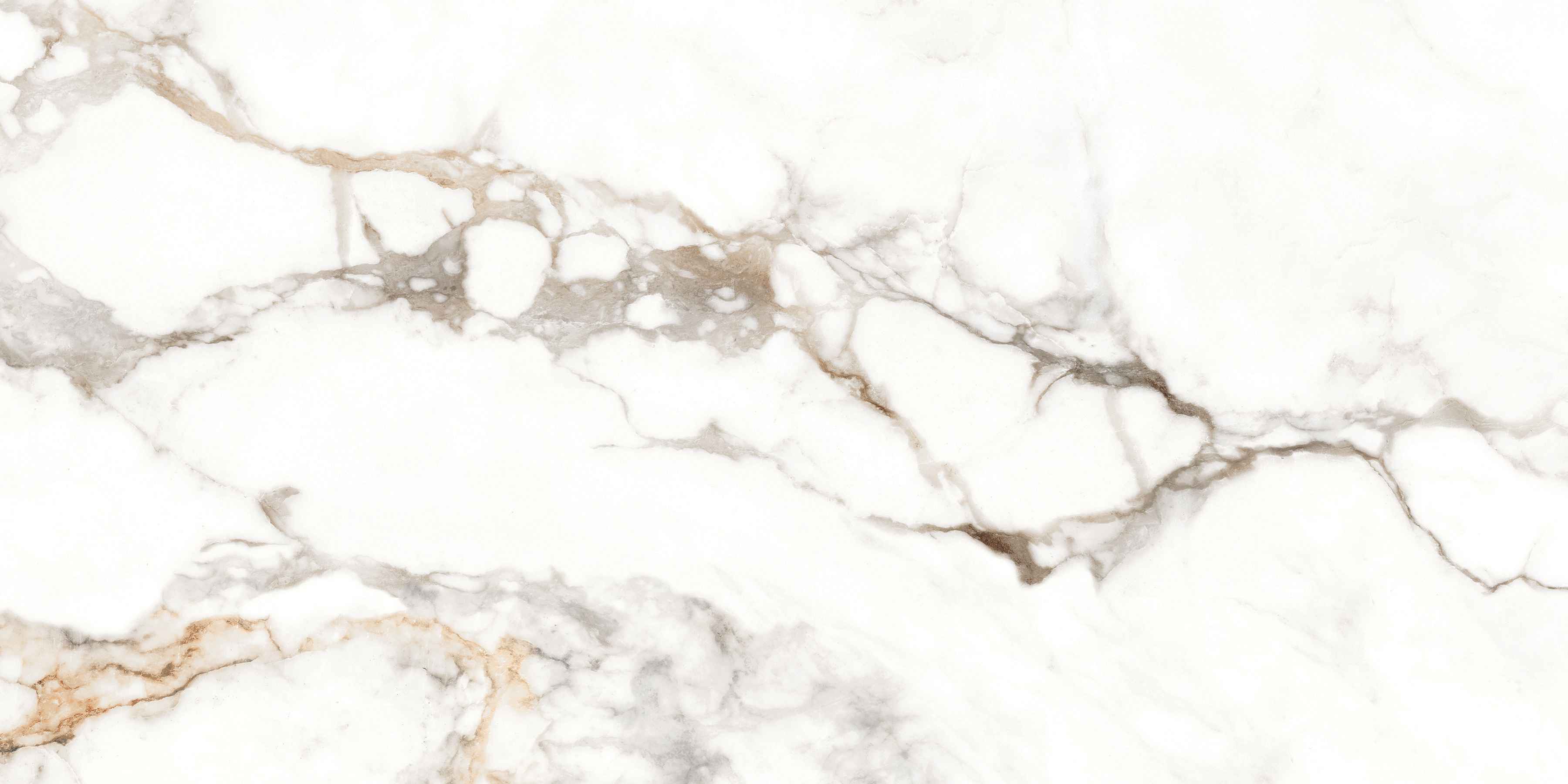 ETMAR1201GL60120 Antique Carrara Glossy 600x1200 полированный белый