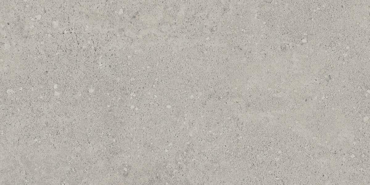 NP01 Newport Light Grey 306x609 неполированный серый