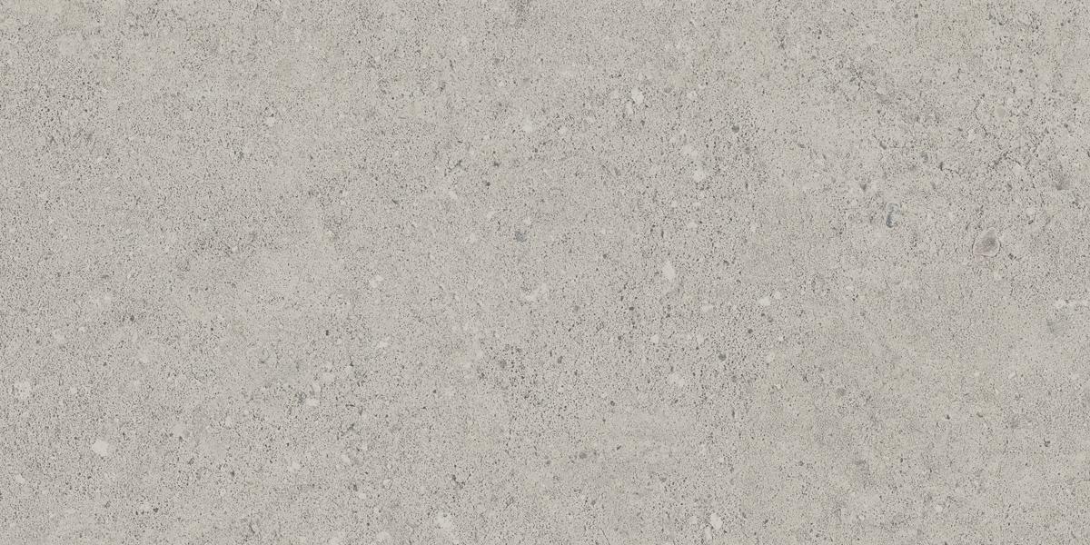 NP01 Newport Light Grey 306x609 неполированный серый
