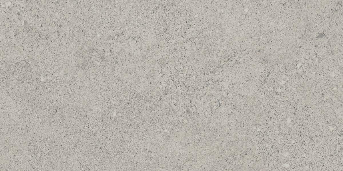 NP01 Newport Light Grey 306x609 неполированный серый