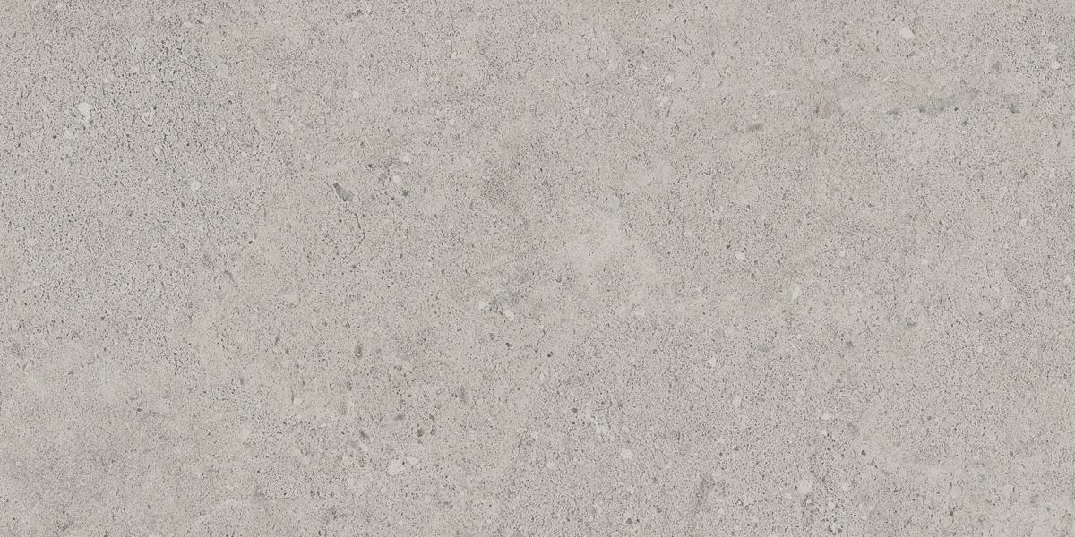 NP01 Newport Light Grey 306x609 неполированный серый