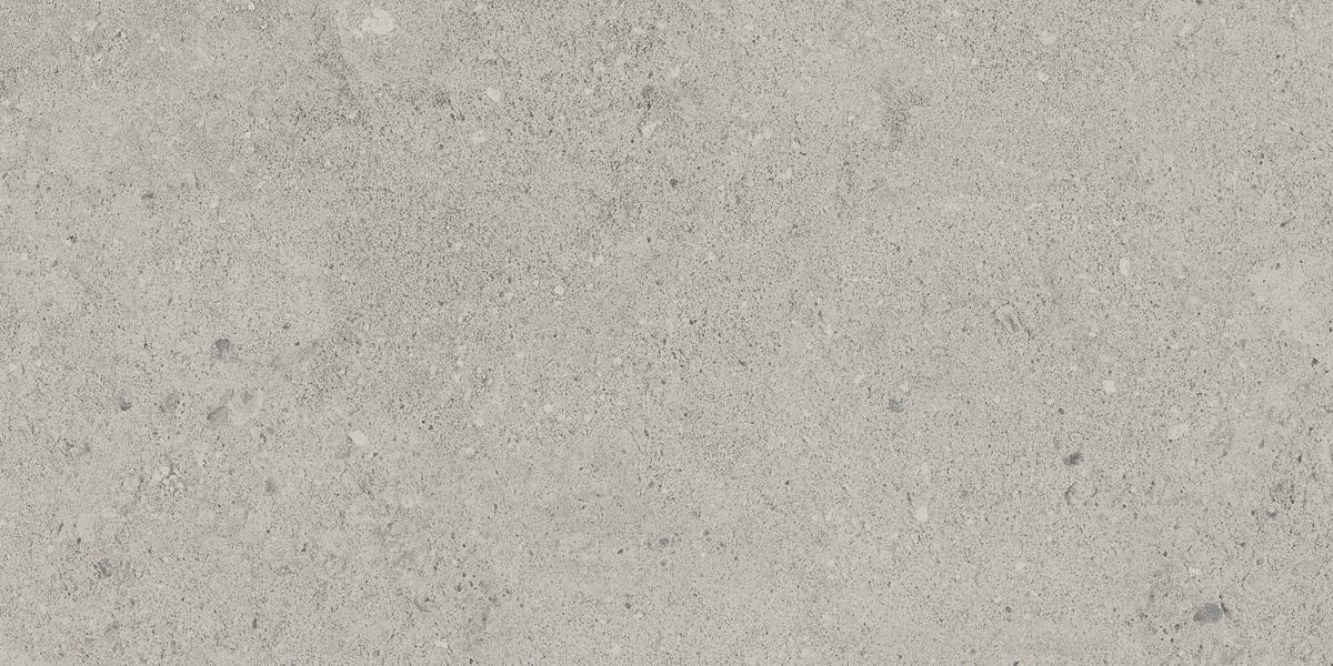 NP01 Newport Light Grey 306x609 неполированный серый