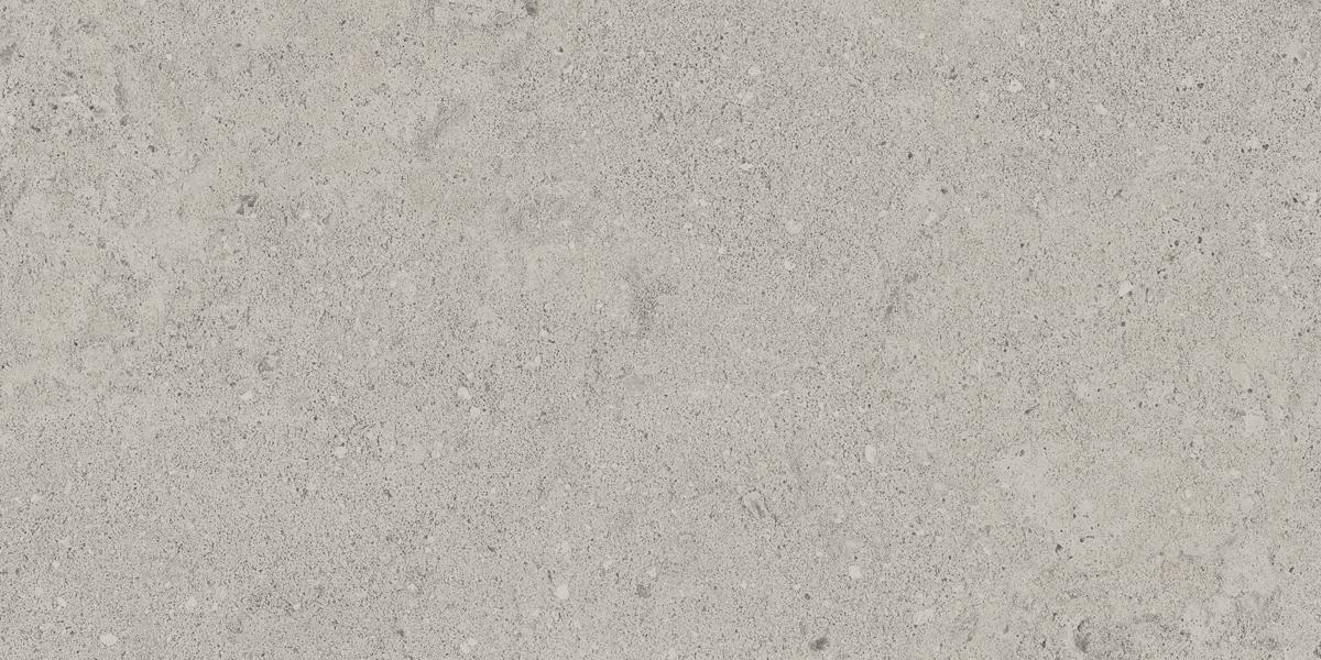 NP01 Newport Light Grey 306x609 неполированный серый