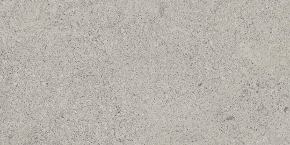 NP01 Newport Light Grey 306x609 неполированный серый