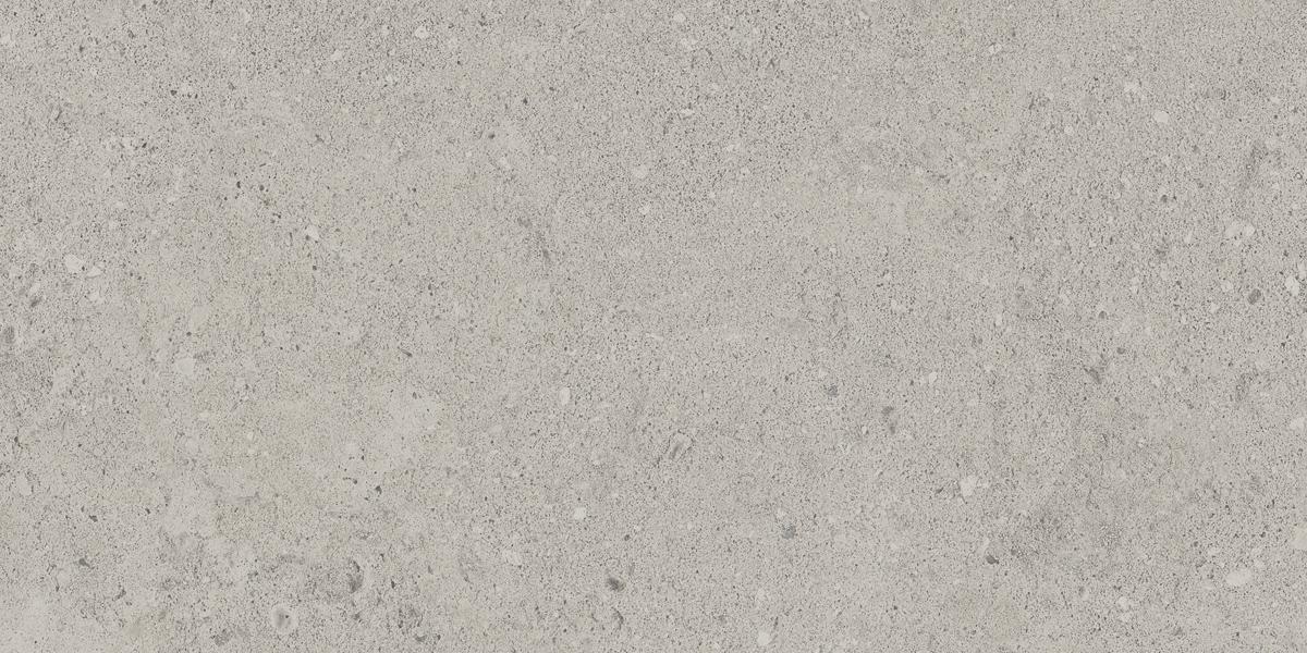 NP01 Newport Light Grey 306x609 неполированный серый