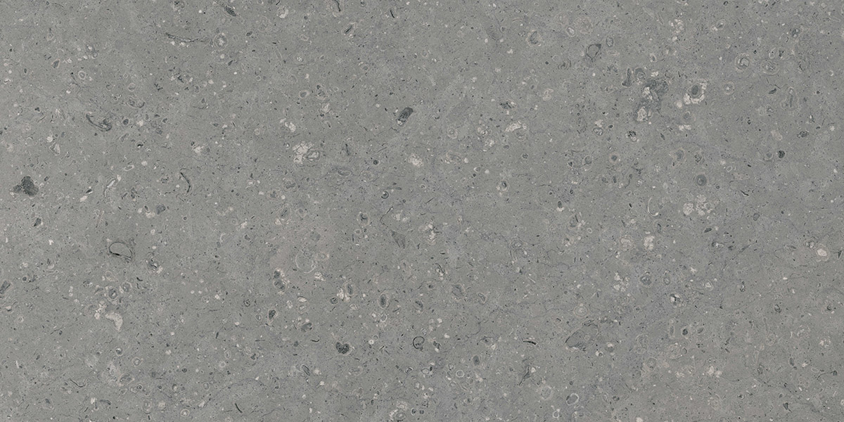 G213MR Arkaim Grey (Аркаим Грей) 600x1200 матовый серый