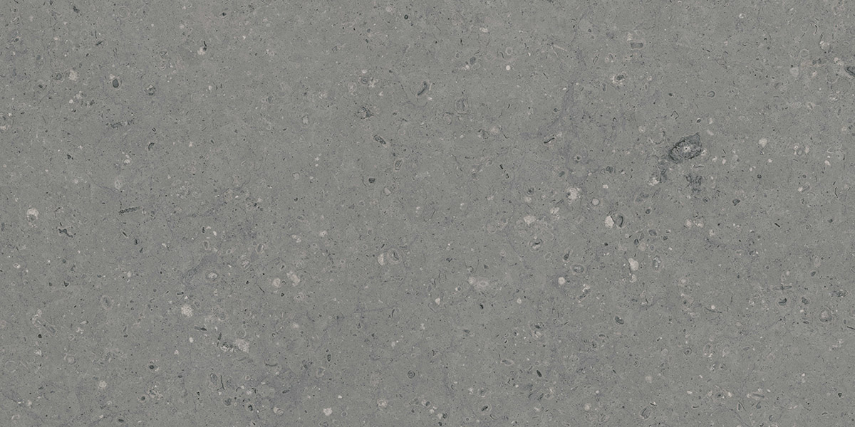 G213MR Arkaim Grey (Аркаим Грей) 600x1200 матовый серый