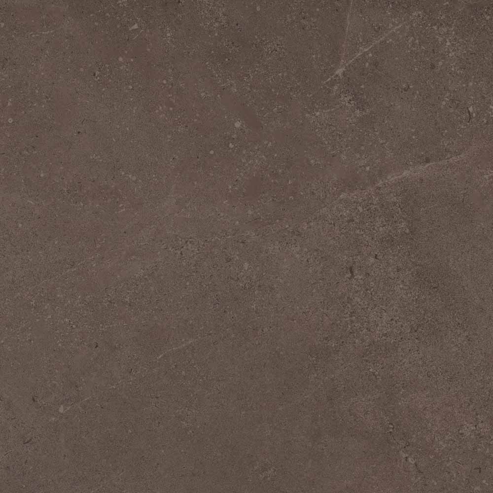 GO03 Gobi Brown Grey 600x600 неполированный коричневый